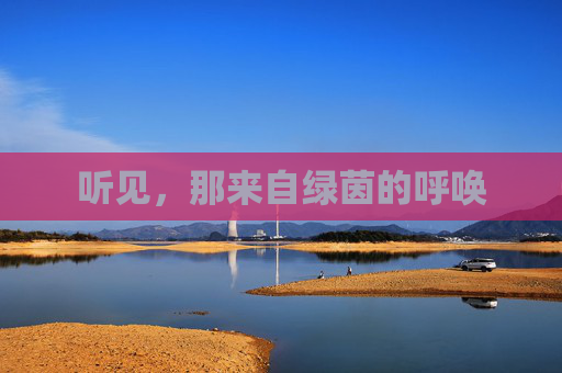 听见,那来自绿茵的呼唤