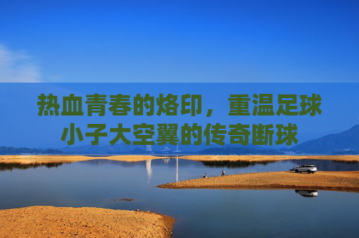 热血青春的烙印,重温足球小子大空翼的传奇断球
