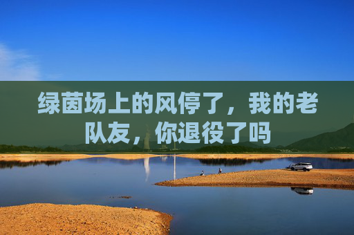绿茵场上的风停了，我的老队友，你退役了吗