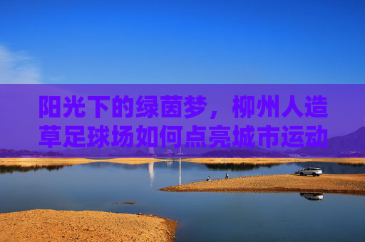 阳光下的绿茵梦,柳州人造草足球场如何点亮城市运动热情