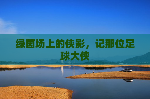 绿茵场上的侠影,记那位足球大侠