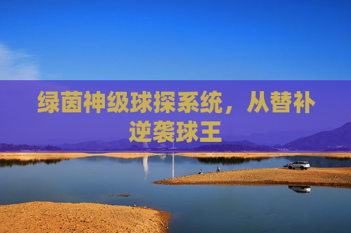 绿茵神级球探系统,从替补逆袭球王