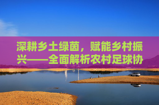 深耕乡土绿茵,赋能乡村振兴——全面解析农村足球协会的业务范围