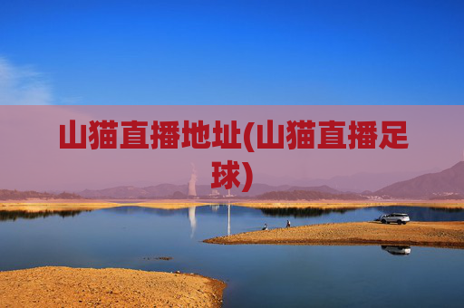 山猫直播地址(山猫直播足球)