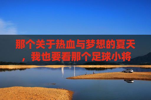 那个关于热血与梦想的夏天,我也要看那个足球小将
