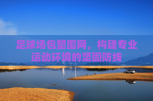 足球场包塑围网,构建专业运动环境的坚固防线