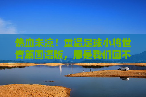 热血未凉!重温足球小将世青篇国语版,那是我们回不去的青春