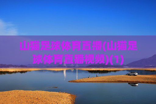 山猫足球体育直播(山猫足球体育直播视频)(1)