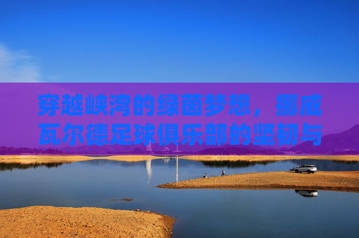 穿越峡湾的绿茵梦想,挪威瓦尔德足球俱乐部的坚韧与荣耀