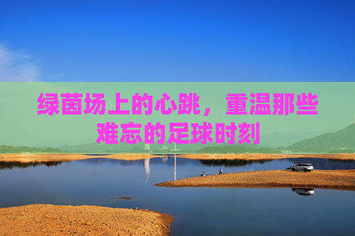 绿茵场上的心跳,重温那些难忘的足球时刻