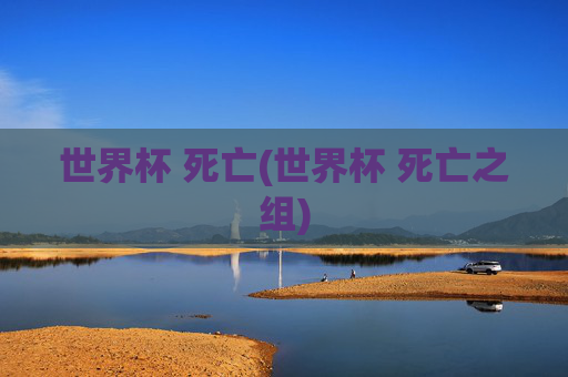 世界杯 死亡(世界杯 死亡之组)