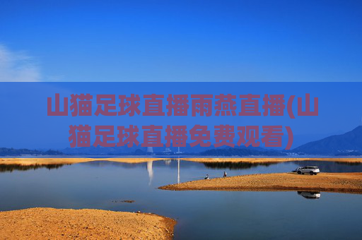 山猫足球直播雨燕直播(山猫足球直播免费观看)
