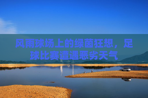 风雨球场上的绿茵狂想,足球比赛遭遇恶劣天气