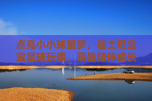 点亮小小球星梦，迪士尼宝宝足球玩偶，萌趣陪伴成长的每一个瞬间
