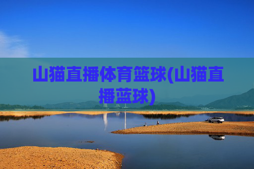 山猫直播体育篮球(山猫直播蓝球)