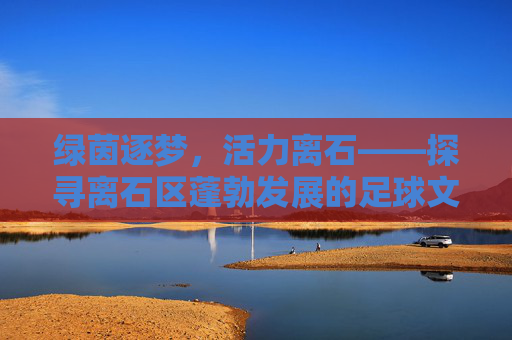 绿茵逐梦,活力离石——探寻离石区蓬勃发展的足球文化