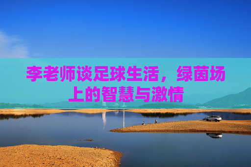 李老师谈足球生活,绿茵场上的智慧与激情