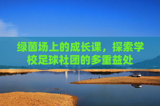 绿茵场上的成长课,探索学校足球社团的多重益处
