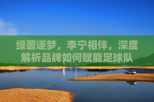 绿茵逐梦,李宁相伴,深度解析品牌如何赋能足球队
