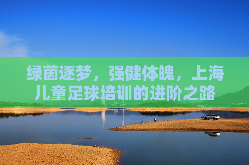 绿茵逐梦，强健体魄，上海儿童足球培训的进阶之路
