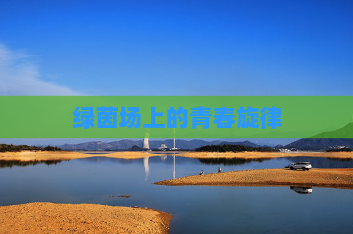 绿茵场上的青春旋律