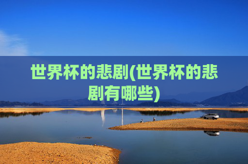世界杯的悲剧(世界杯的悲剧有哪些)