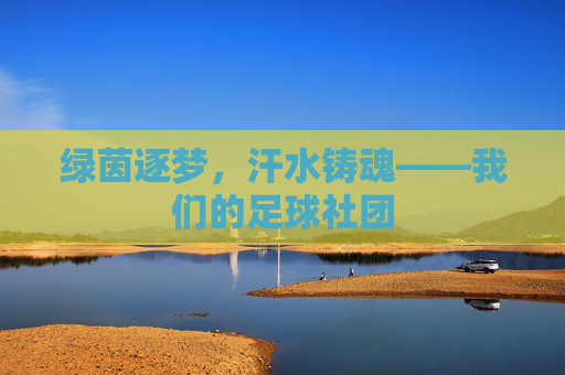 绿茵逐梦,汗水铸魂——我们的足球社团