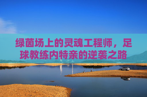 绿茵场上的灵魂工程师，足球教练内特亲的逆袭之路