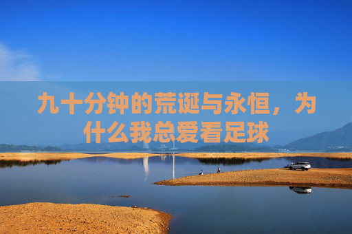 九十分钟的荒诞与永恒,为什么我总爱看足球
