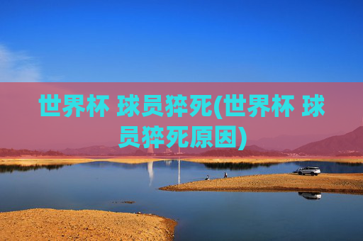 世界杯 球员猝死(世界杯 球员猝死原因)