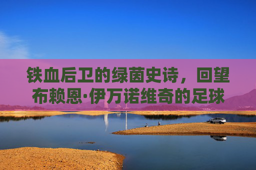 铁血后卫的绿茵史诗,回望布赖恩·伊万诺维奇的足球生涯