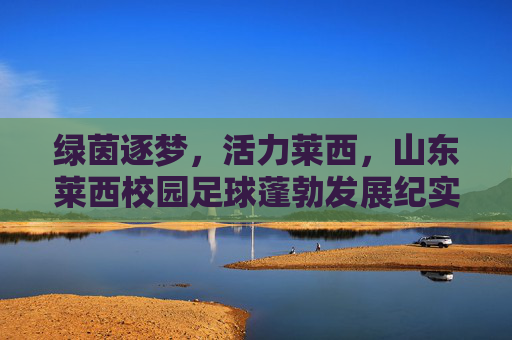 绿茵逐梦,活力莱西,山东莱西校园足球蓬勃发展纪实