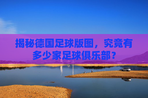 揭秘德国足球版图,究竟有多少家足球俱乐部?
