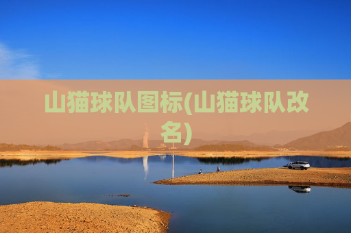 山猫球队图标(山猫球队改名)