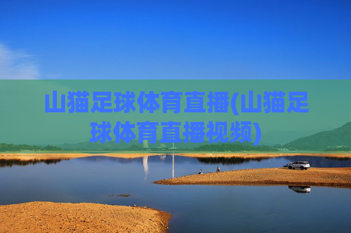 山猫足球体育直播(山猫足球体育直播视频)