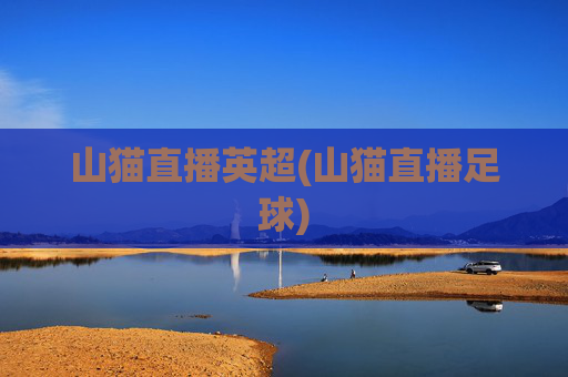 山猫直播英超(山猫直播足球)