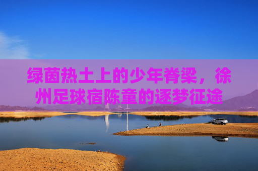 绿茵热土上的少年脊梁,徐州足球宿陈童的逐梦征途