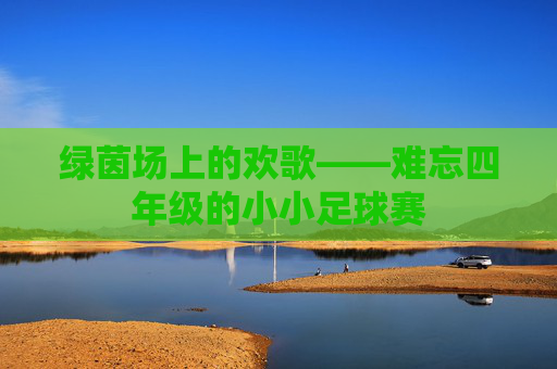 绿茵场上的欢歌——难忘四年级的小小足球赛