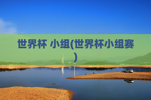 世界杯 小组(世界杯小组赛)