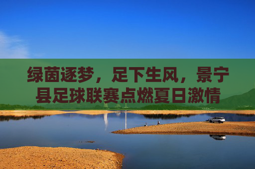 绿茵逐梦,足下生风,景宁县足球联赛点燃夏日激情