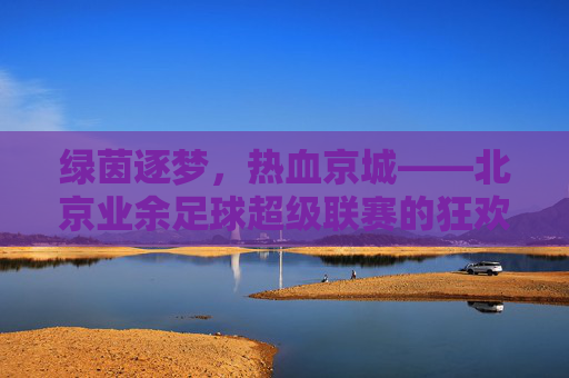 绿茵逐梦,热血京城——北京业余足球超级联赛的狂欢与坚守