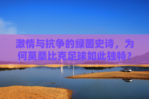 激情与抗争的绿茵史诗,为何莫桑比克足球如此独特?