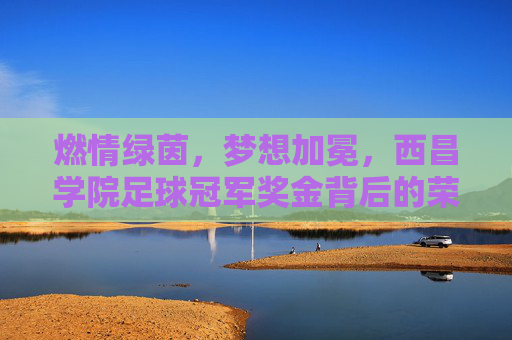 燃情绿茵,梦想加冕,西昌学院足球冠军奖金背后的荣耀与激励