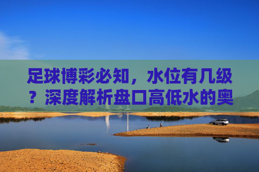 足球博彩必知,水位有几级?深度解析盘口高低水的奥秘