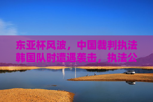 东亚杯风波,中国裁判执法韩国队时遭遇袭击,执法公信力面临严峻考验