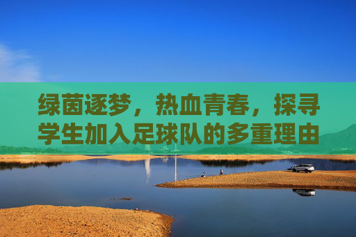 绿茵逐梦,热血青春,探寻学生加入足球队的多重理由
