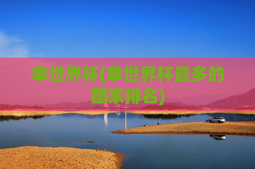 拿世界杯(拿世界杯最多的国家排名)