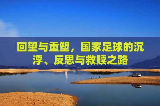 回望与重塑,国家足球的沉浮、反思与救赎之路