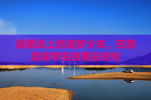 绿茵场上的追梦少年,巴西足球学生的黑白时光