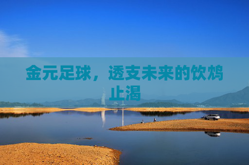 金元足球,透支未来的饮鸩止渴